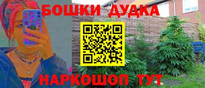 прущий лед Кингисепп