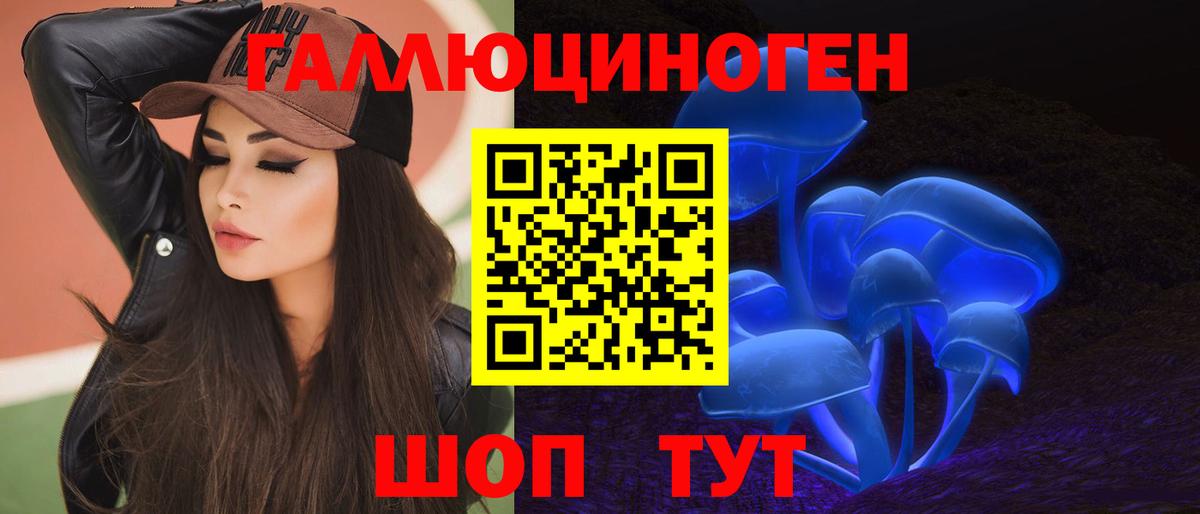 купить наркотик  Галлюциногенные грибы Magic Shrooms  Вход с VPN  Кудрово 