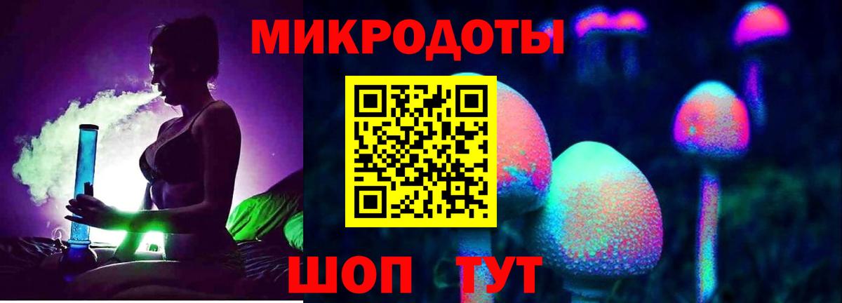 Галлюциногенные грибы Psilocybe Кудрово
